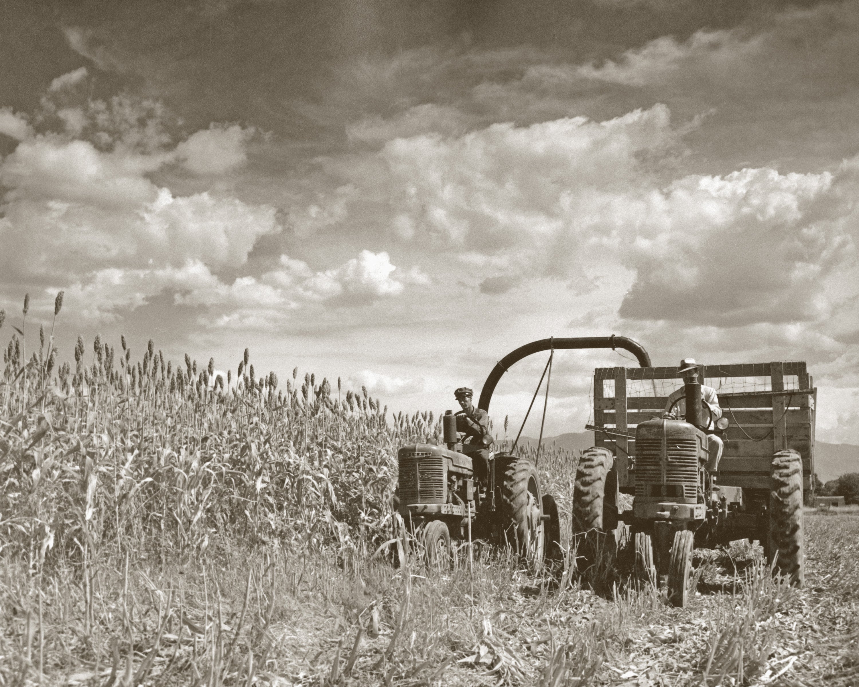Two tractors in a field with a cloudy sky