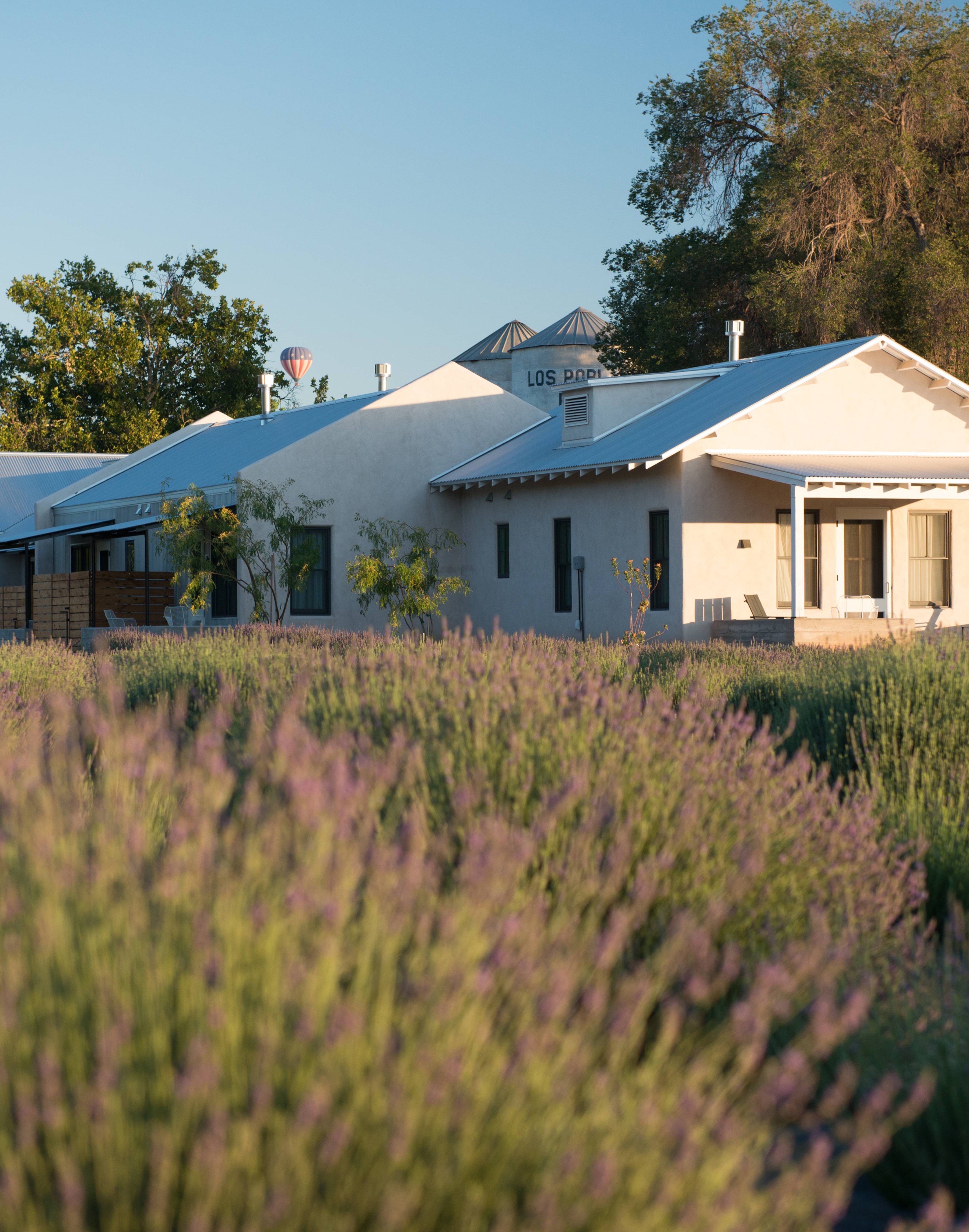 White house with a lavender field in the foreground
