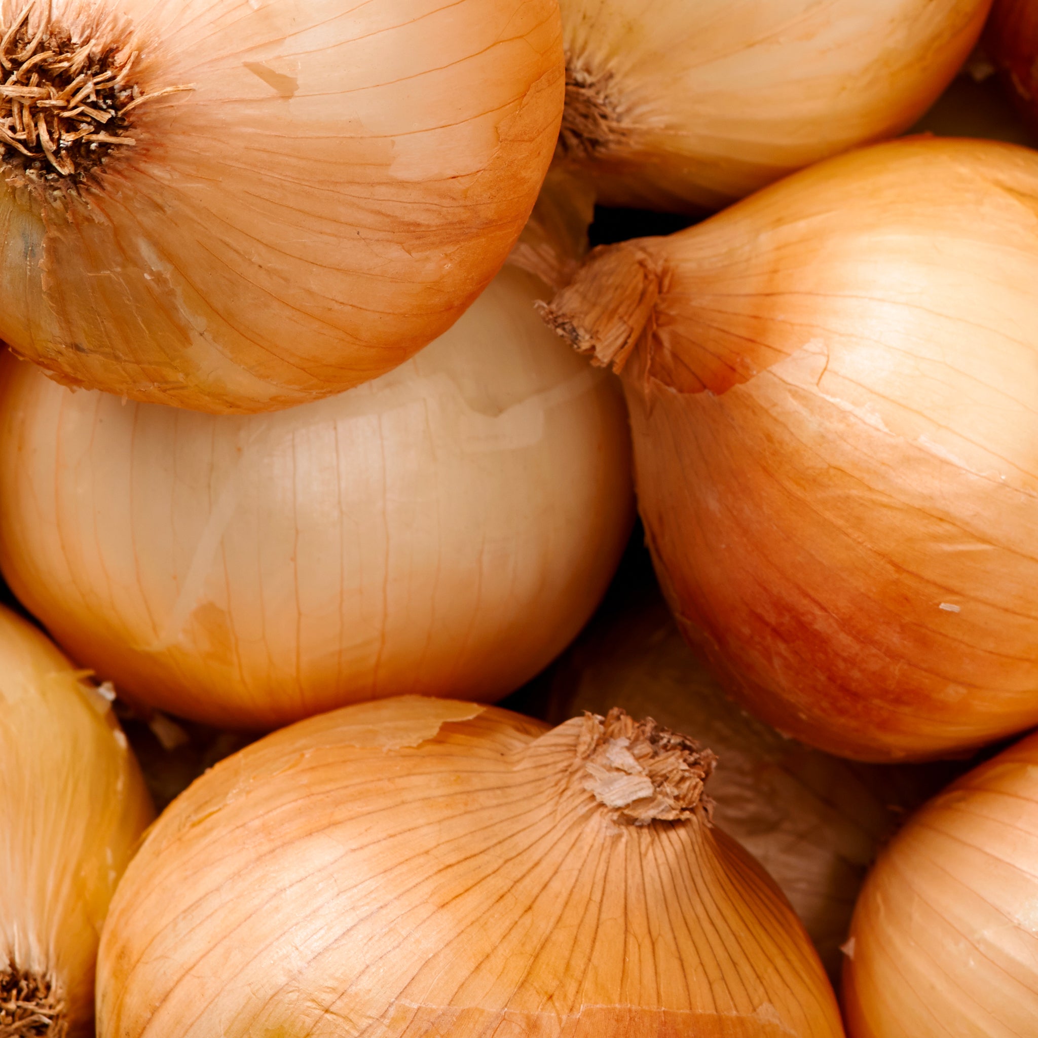 Close-up of a pile of yellow onions