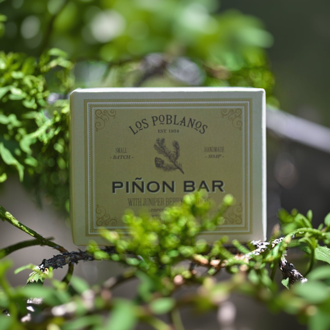 bar soap settled into tree branches
