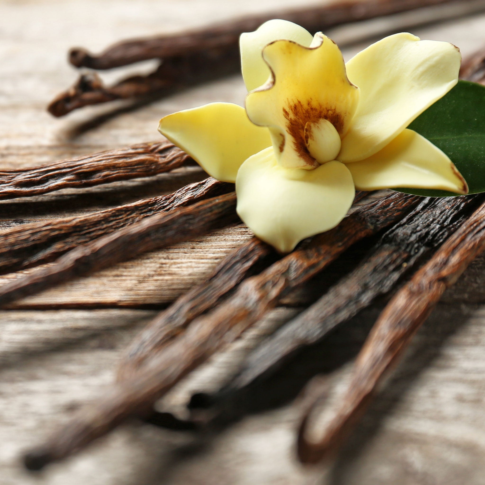 Vanilla beans and a vanilla flower on a wooden surface