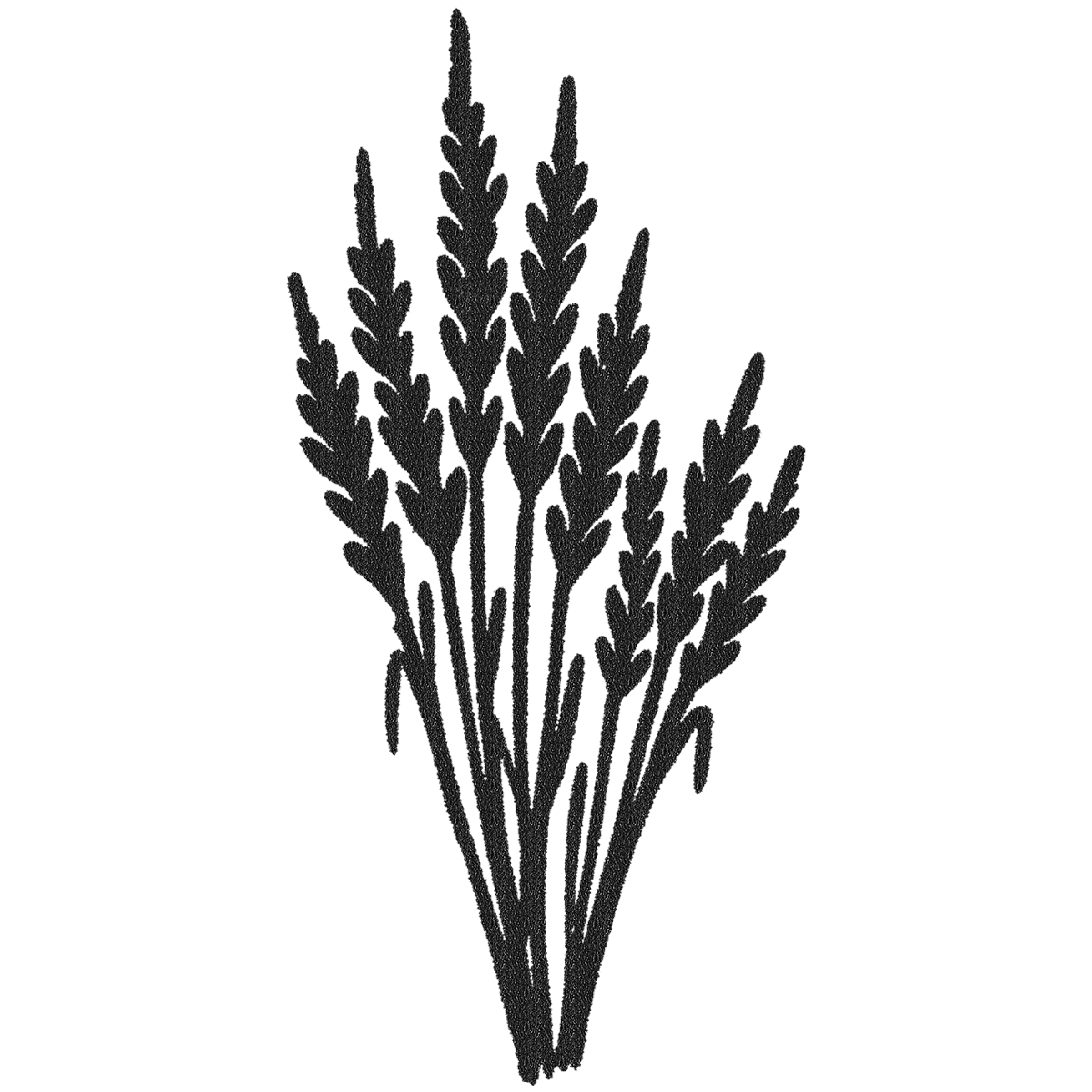 Black silhouette of a plant on a white background