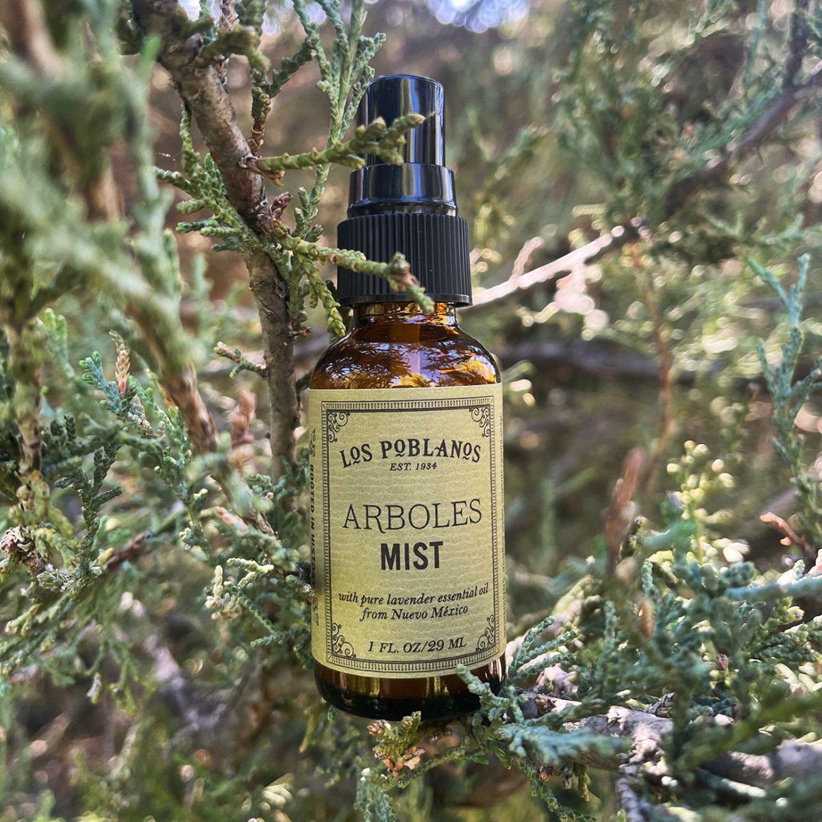 Los Poblanos arboles room and body mist in an amber glass bottle with a minimalist label.