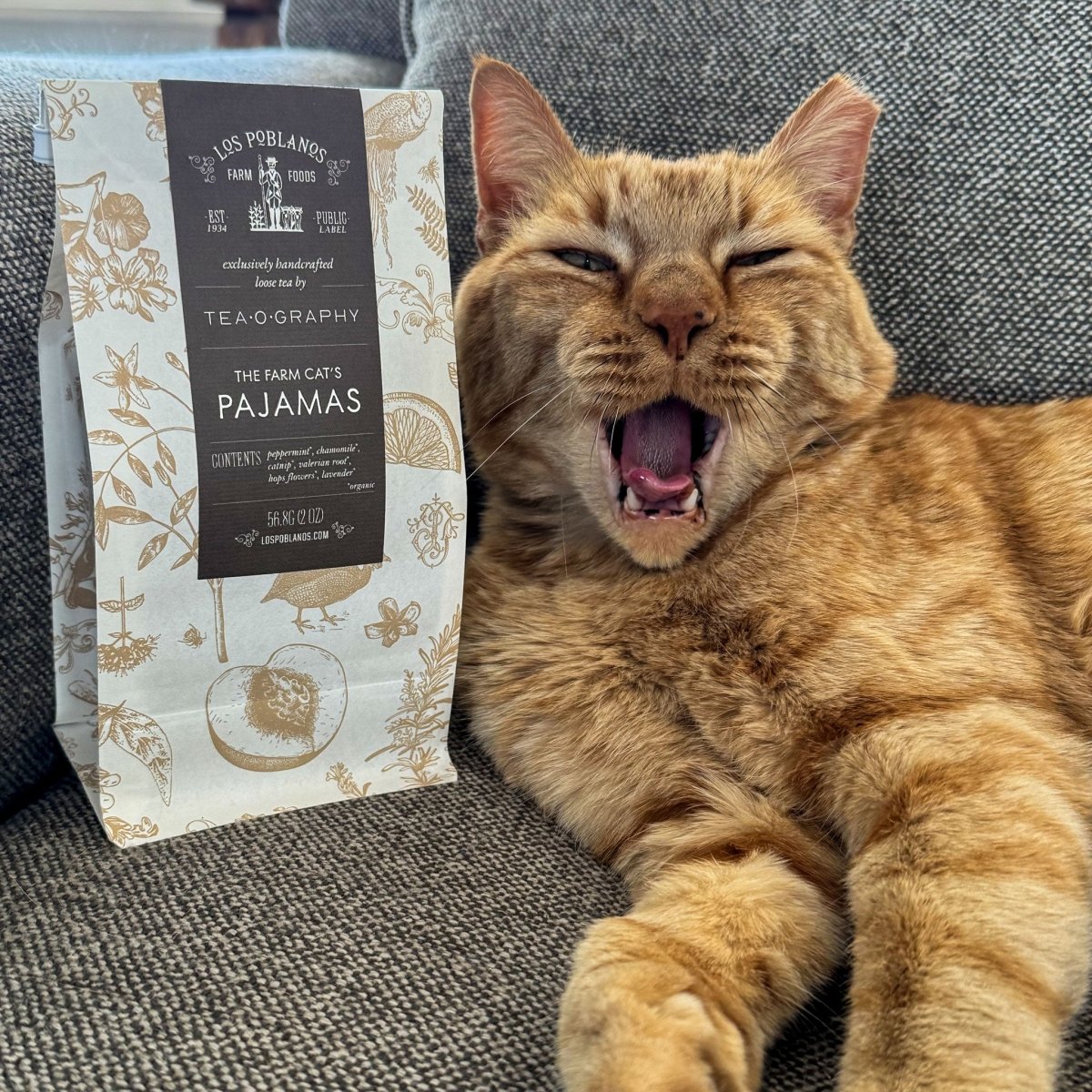 Farm Cat's Pajamas | Los Poblanos Farm Shop