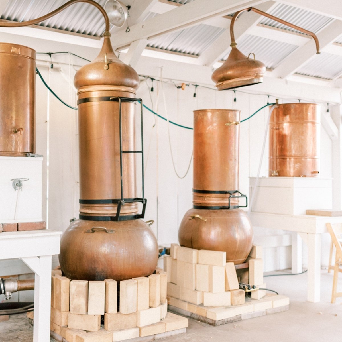 Organic Lavender Essential Oil | Los Poblanos Online Shop