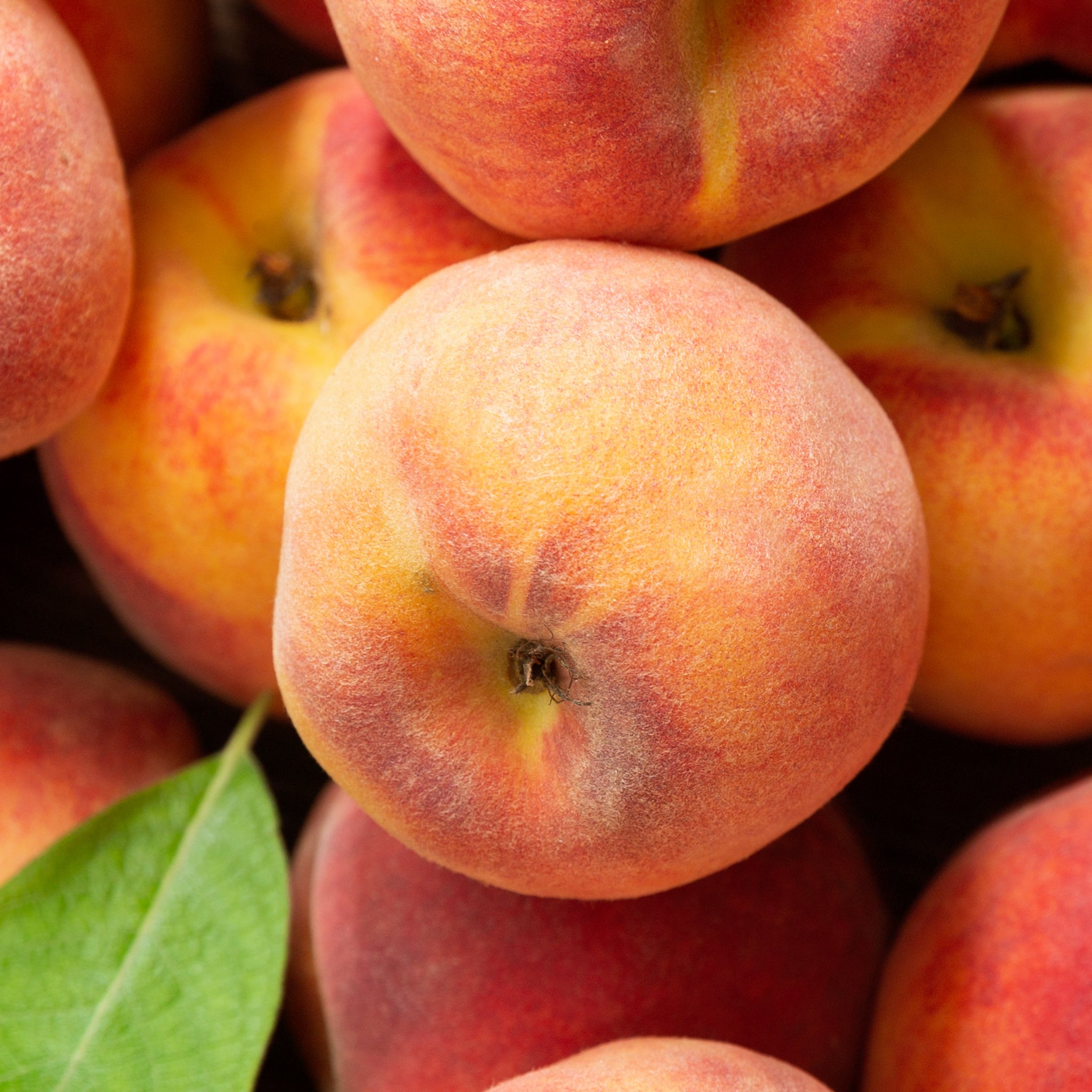 Close-up of peaches with a green leaf