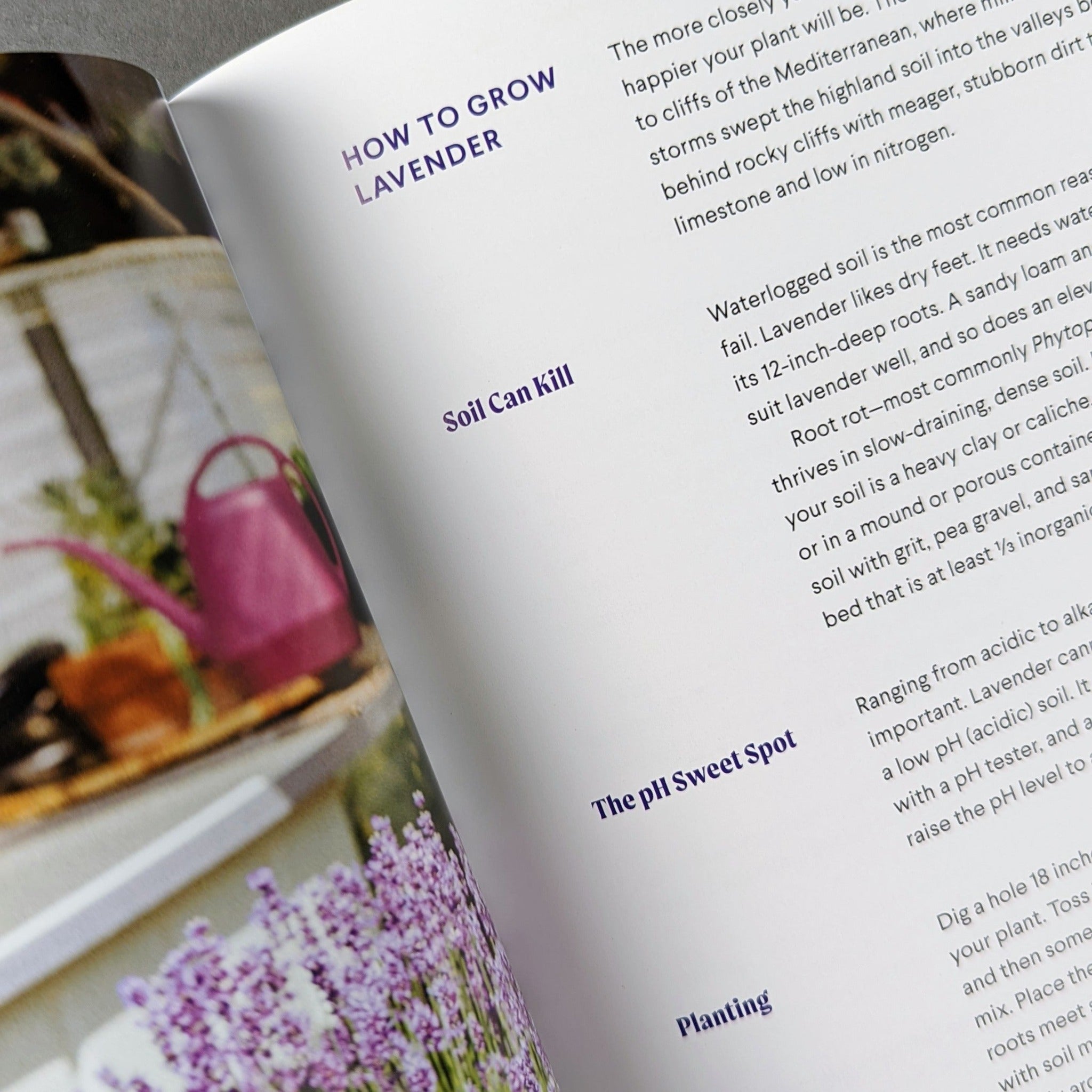 Lavender: 50 Self-Care Recipes and Projects for Natural Wellness - Los Poblanos Farm Shop